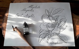 Рисунок тушью каллиграфия цветка магнолии Гранкиной Анны