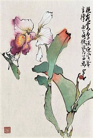 Красота цветов ириса в национальной культуре Японии