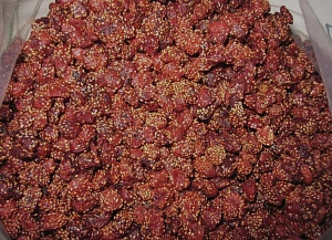 Земляника мускусная