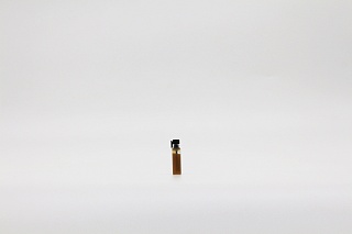 Палестинская сладкая мята абсолют «Salman Charkeh» © - 1 мл