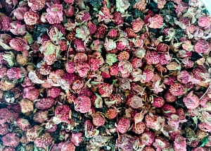 Особенность природного сырья